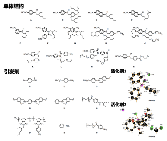 Nat. Chem. ：”活性縮聚”制備聚芳基酰胺的圖2