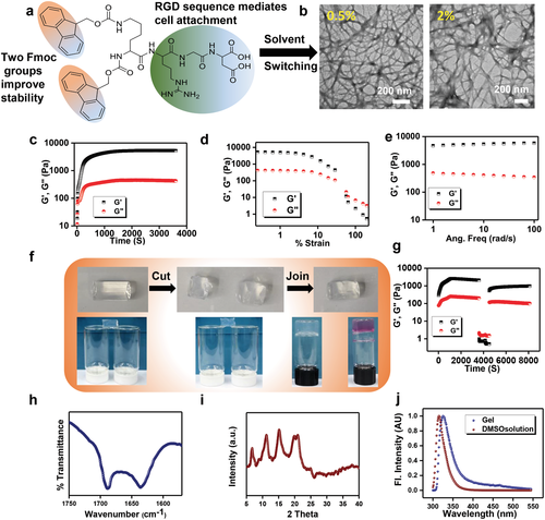 《Adv. Mater.》：用于心脏组织工程的多肽基导电抗菌凝胶材料的图1