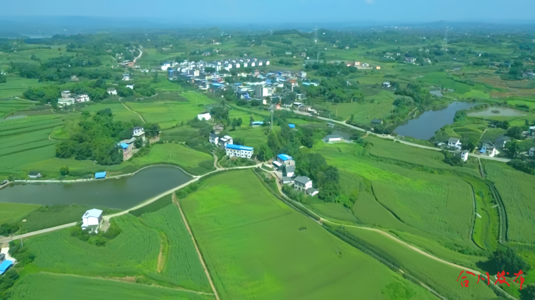 微信图片_20260429161337_3047_16_副本.png