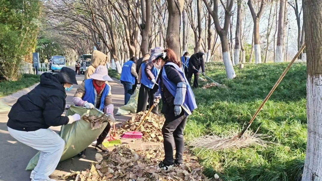 为何西昌市众多单位部门和街道社区志愿者在1月30日开展周五卫生大扫除志愿服务活动？插图21