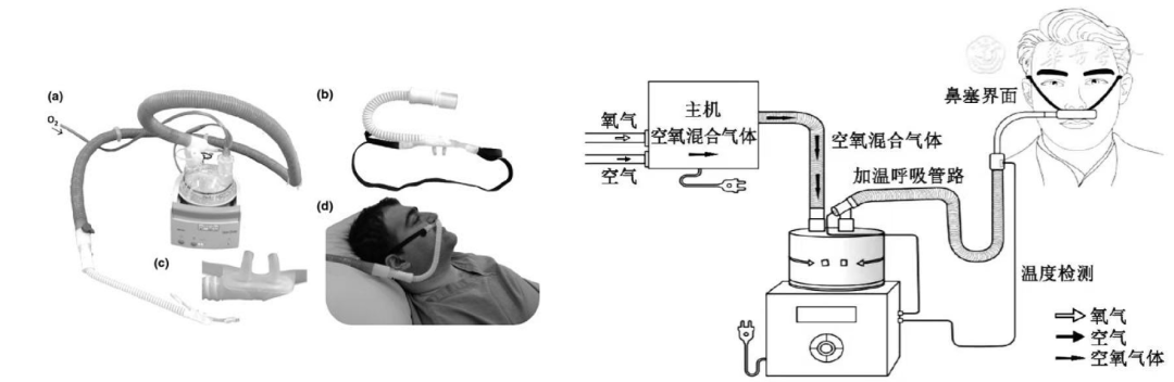 吸氧怎么呼气文献速递丨经鼻高流量吸氧对肥胖患者镇静胃肠道内窥镜检查中低氧发生率的影响：一项多中心、随机、平行对照试验_https://www.jmylbn.com_新闻资讯_第4张