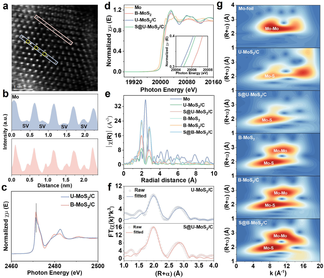 原位TEM助力揭示不饱和二硫化钼诱导的超快钠离子动力学