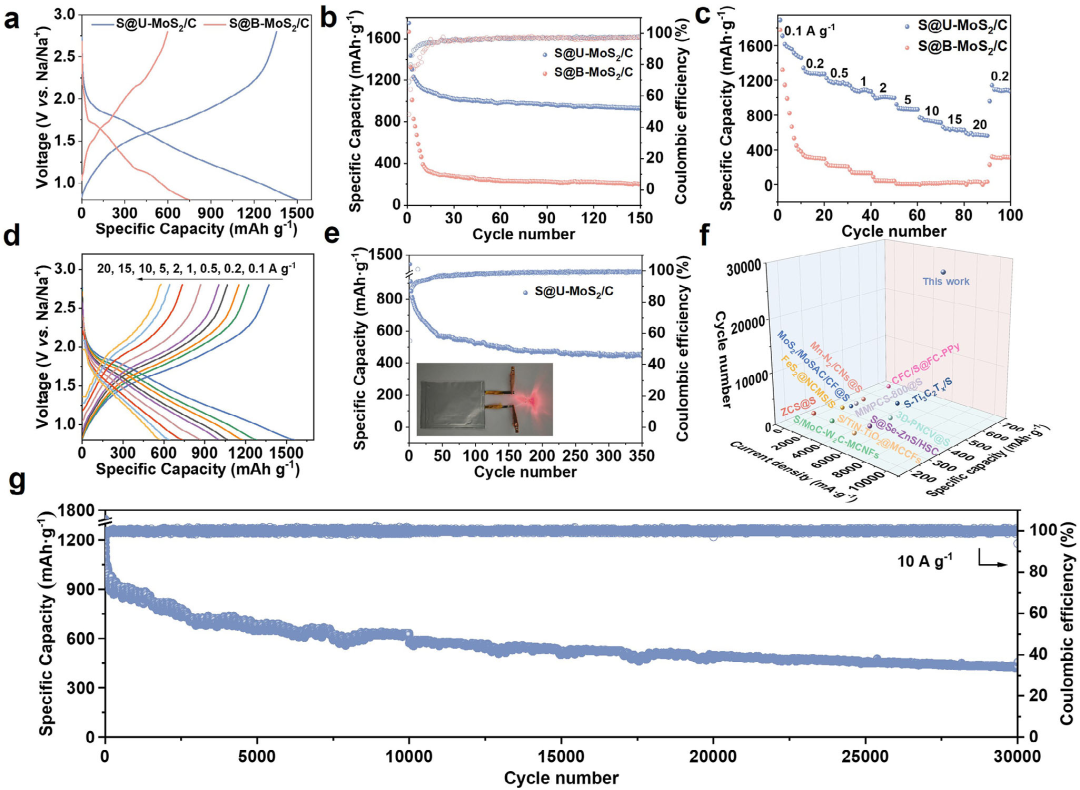 原位TEM助力揭示不饱和二硫化钼诱导的超快钠离子动力学