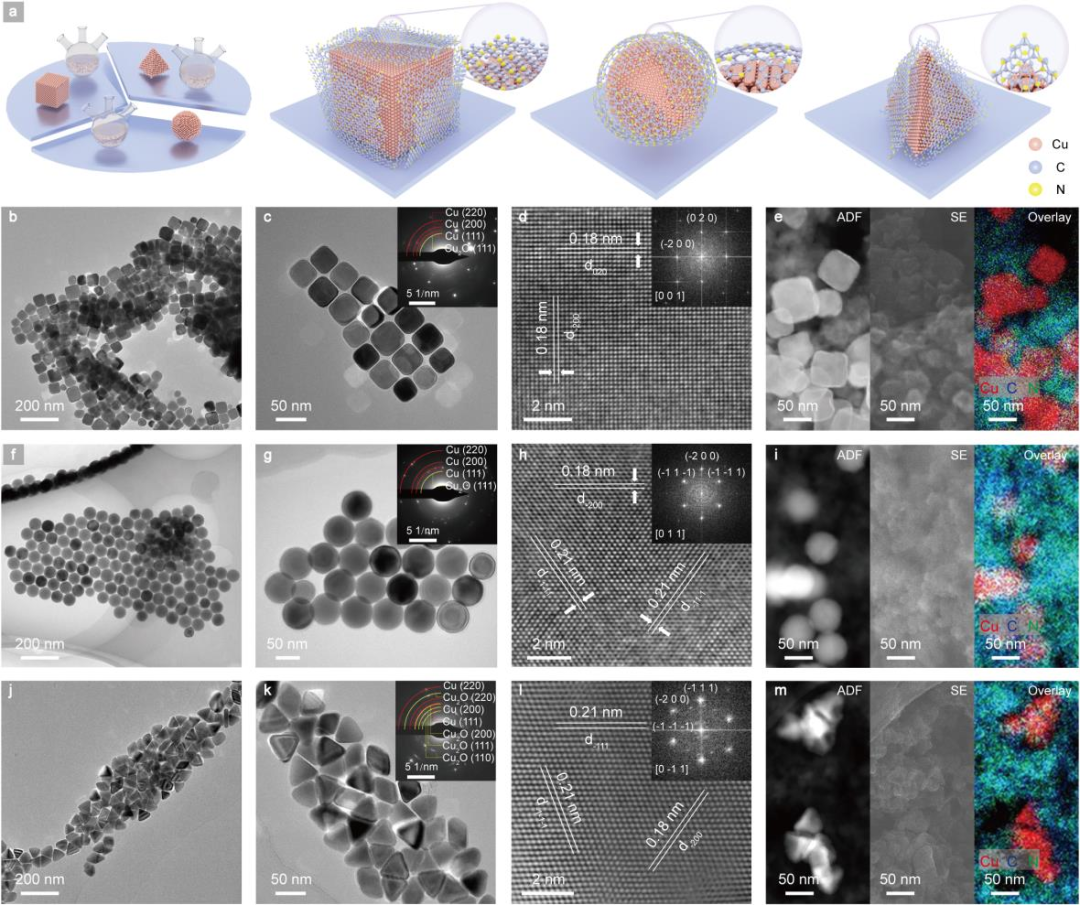 用于高选择性且持久的二氧化碳电还原制乙烯的席夫碱网络协同修饰铜表面研究