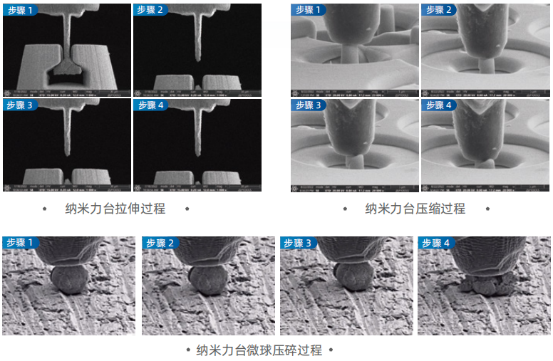 黑白之间的微观真相：扫描电镜与原位SEM如何揭示材料结构与演化