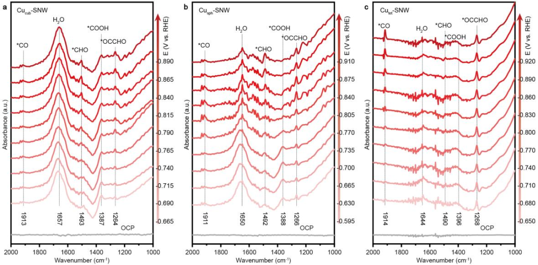 用于高选择性且持久的二氧化碳电还原制乙烯的席夫碱网络协同修饰铜表面研究