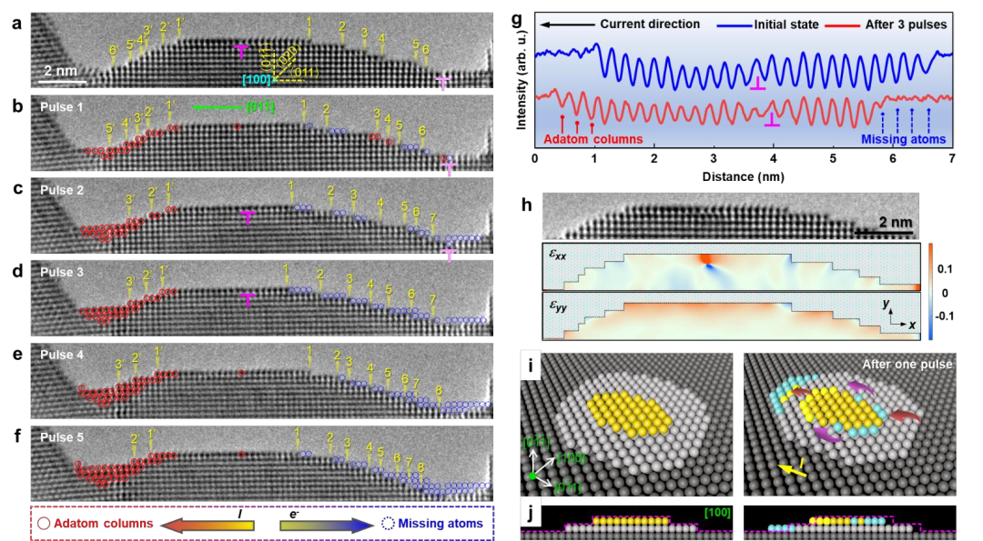 Nature子刊 | 基于泽攸科技原位TEM技术的亚10纳米金属互连线逆风电迁移观测