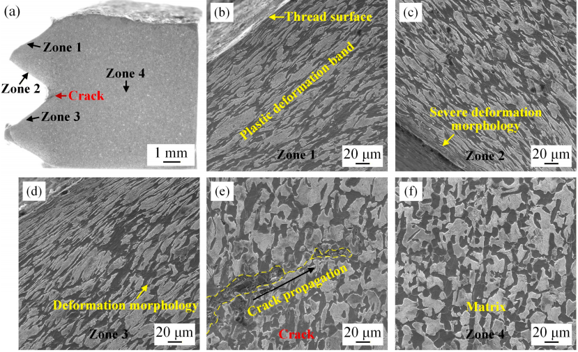 工业同步电机转子磁极螺钉的微观组织特征与断裂行为研究
