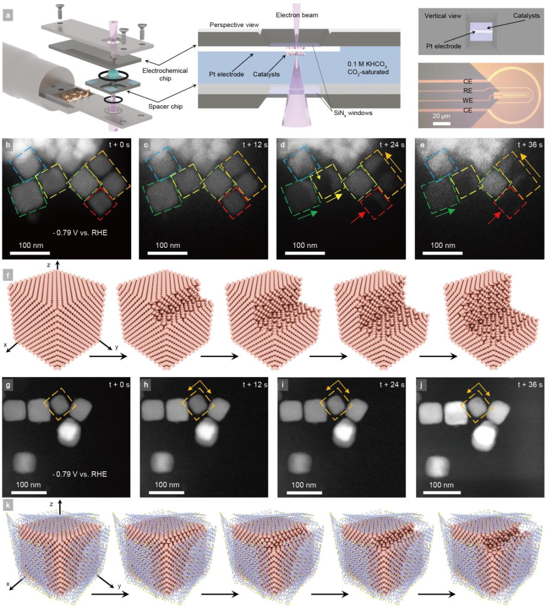 用于高选择性且持久的二氧化碳电还原制乙烯的席夫碱网络协同修饰铜表面研究