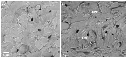 应力驱动下的铁电畴动态演变及其对驱动器性能的影响