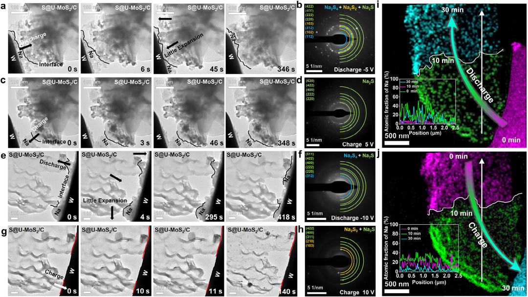 原位TEM助力揭示不饱和二硫化钼诱导的超快钠离子动力学