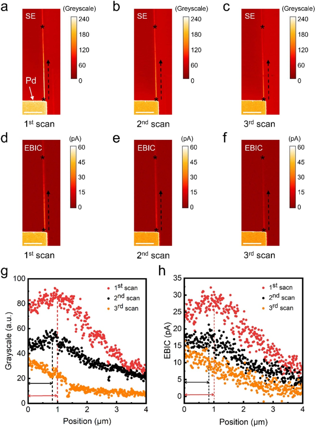 由二次电子发射调控的碳纳米管器件电子束诱生电流成像中的衬度反转