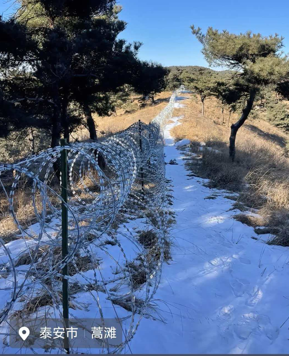 ▲IP地址定位在泰山周边的相关照片