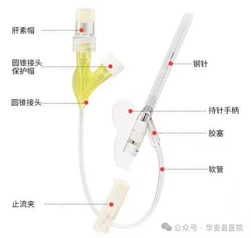 静脉留置针是干什么的什么是留置针？_https://www.jmylbn.com_新闻资讯_第2张