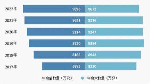 貓是如何取代狗，成為中國人“首寵”的？