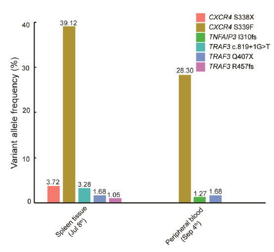 pl在医学中是什么意思文章发表｜ NGS助力脾弥漫性红髓小B细胞淋巴瘤（SDRPL）的分子诊断_https://www.jmylbn.com_新闻资讯_第6张