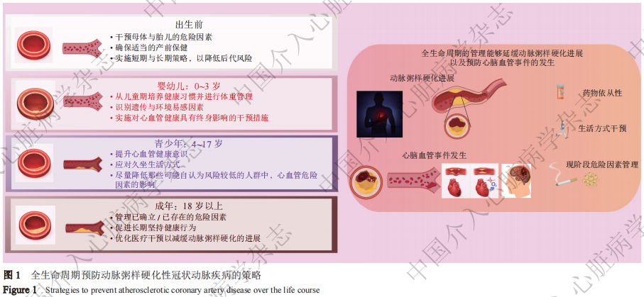冠心病防治新策略：从关注缺血到关注动脉粥样硬化