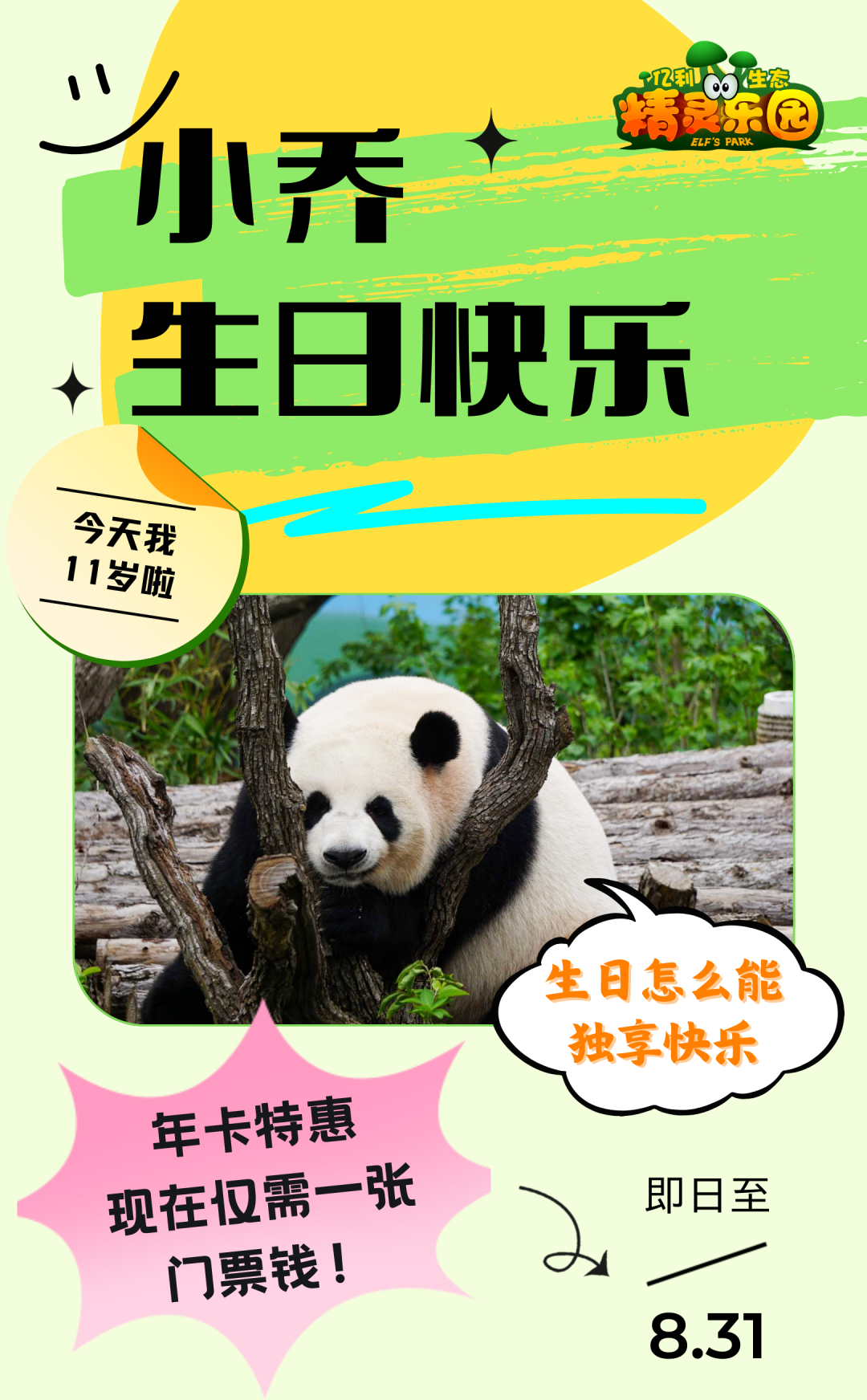 天津亿利生态精灵乐园大熊猫小乔11岁啦畅玩全年仅需160元