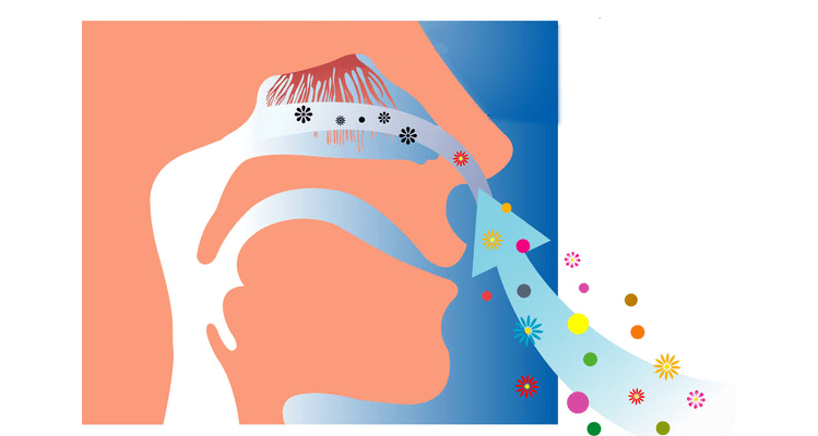为什么要购买呼吸机气切患者为什么要重视气道湿化？_https://www.jmylbn.com_新闻资讯_第4张