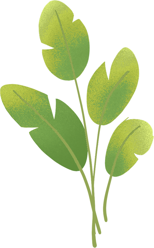 护鸟牌怎么写清零垃圾，手挂双语鸟牌.....空港街道中外家庭携手扮靓温榆河~_https://www.jmylbn.com_新闻资讯_第4张