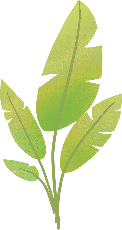 护鸟牌怎么写清零垃圾，手挂双语鸟牌.....空港街道中外家庭携手扮靓温榆河~_https://www.jmylbn.com_新闻资讯_第6张