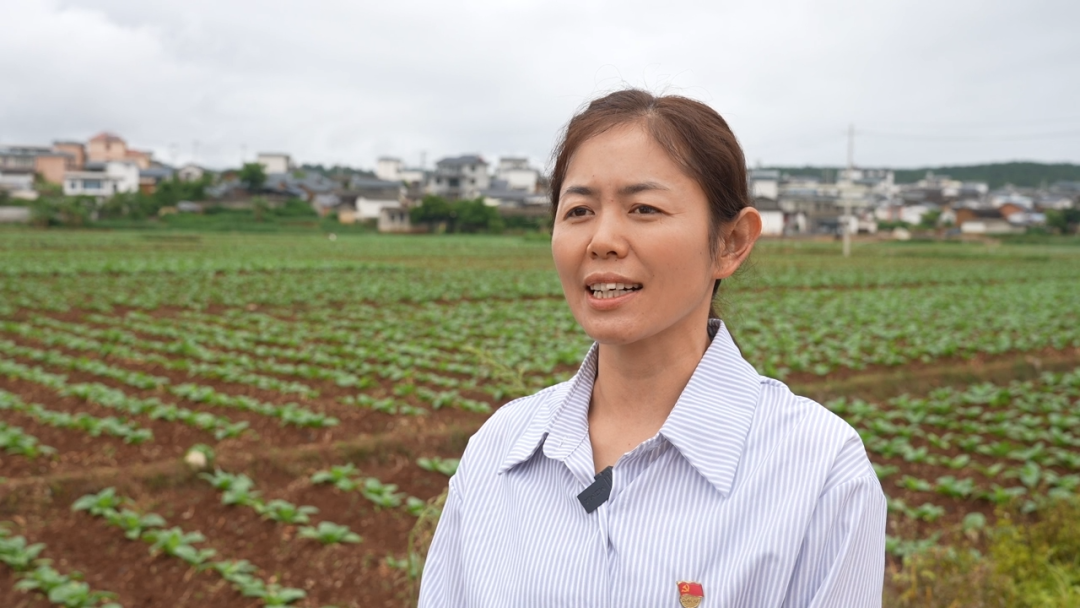党建引领赋能乡村振兴_抓党建促乡村振兴_