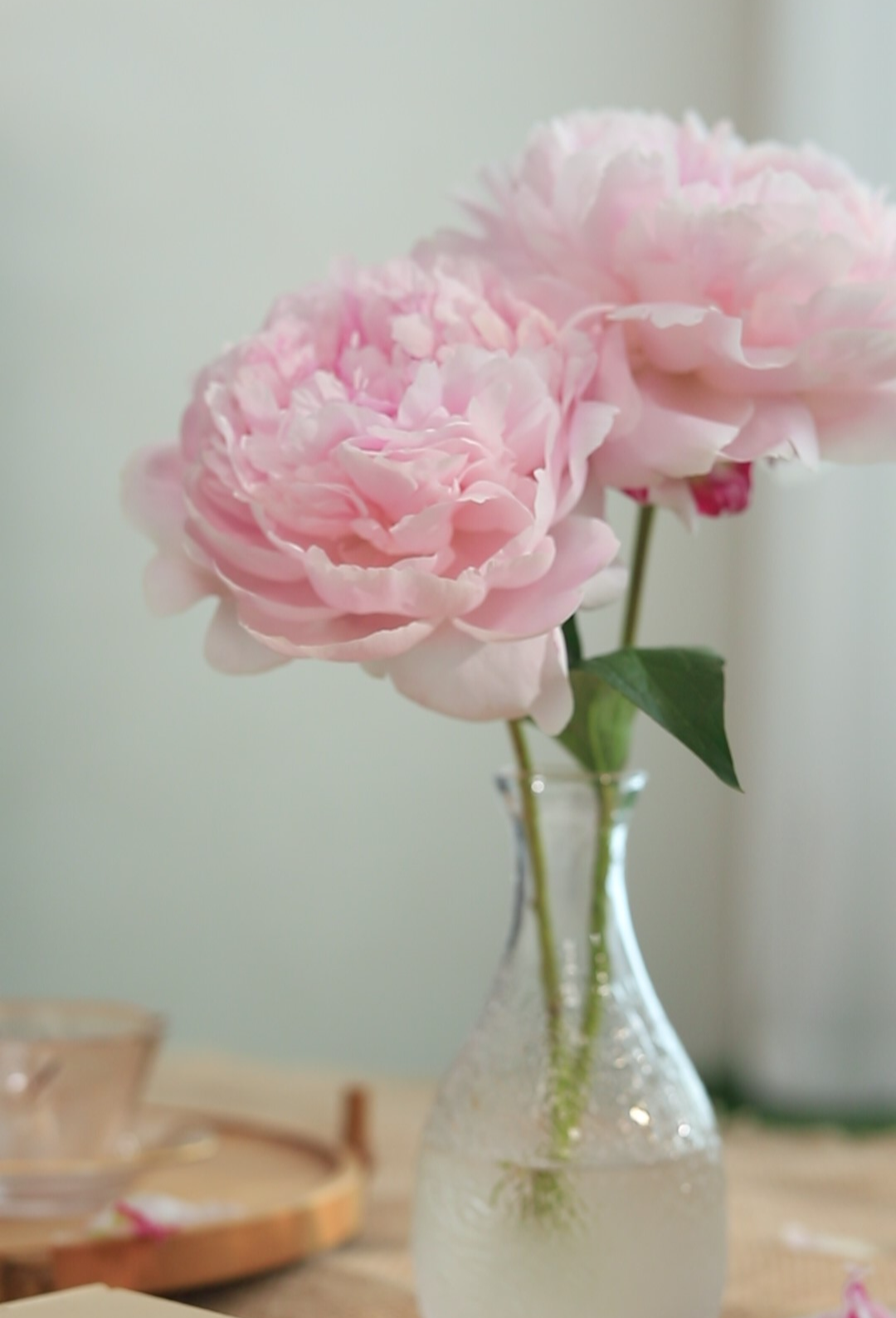 感恩节：感恩有你！