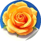 消花来解压