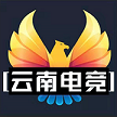 云南电竞文化传播有限公司