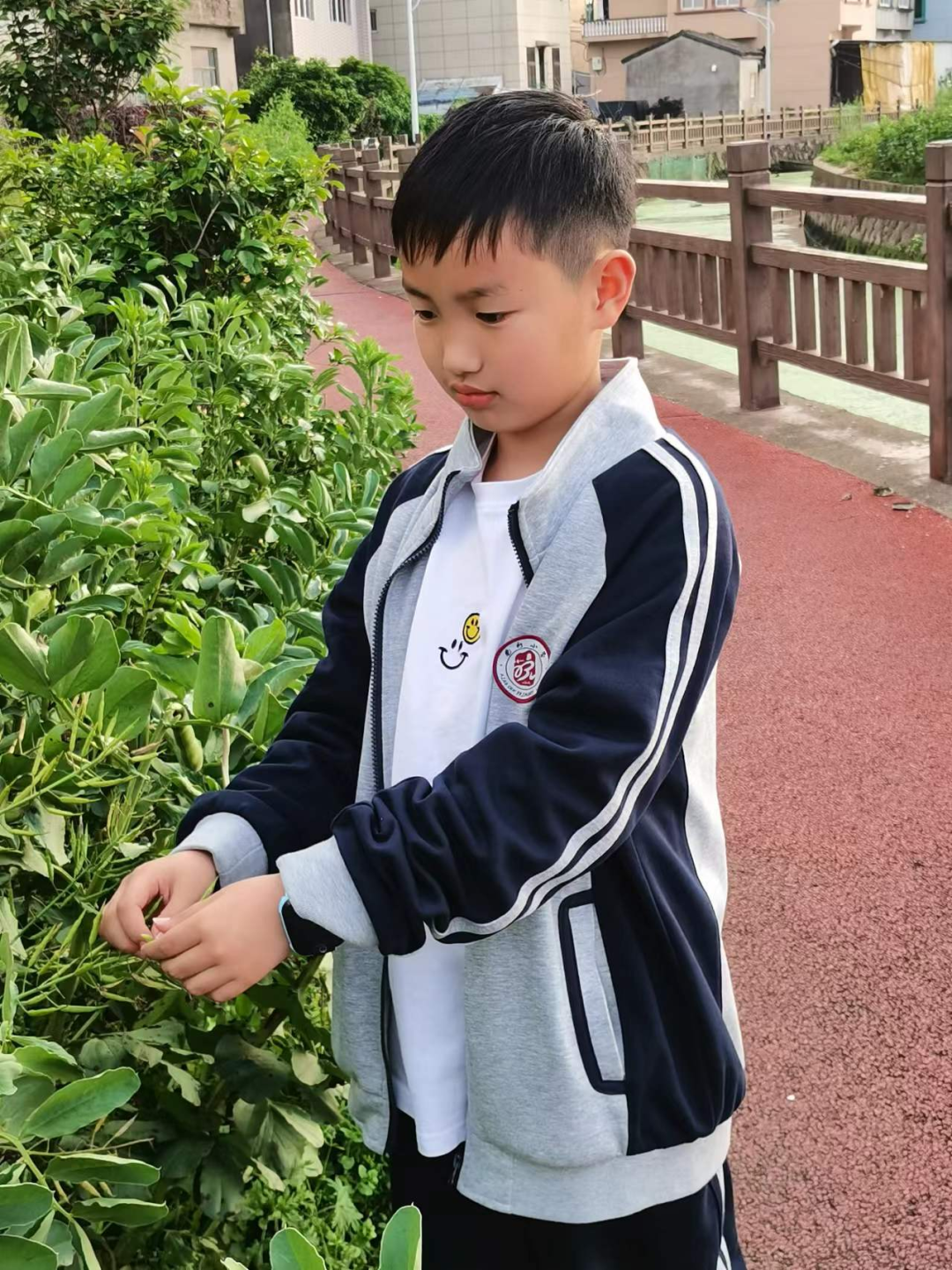 长出一根金色头发寓意_金色头发的寓意_长出金色头发凶吉