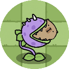 植僵花花大冒险游戏