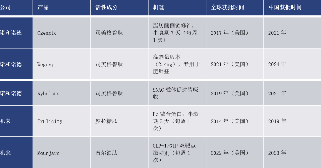 司美格鲁肽 vs 替尔泊肽：千亿GLP-1市场的双雄对决与迭代挑战 | 倚锋硬分享