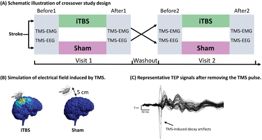 闭环神经调控：非侵入式脑机接口的进阶逻辑 | 倚锋硬分享