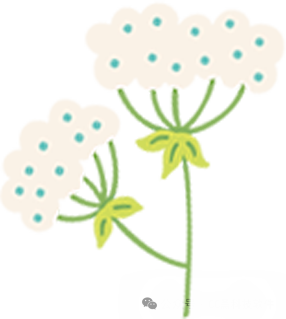 魔兽暗影诅咒_暗影诅咒_暗影诅咒视频攻略