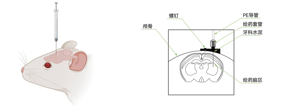 3+4.png