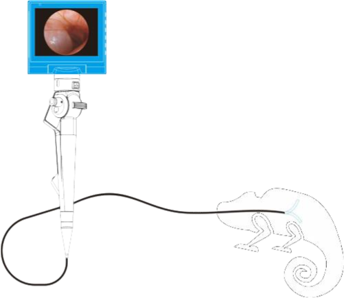 06.png