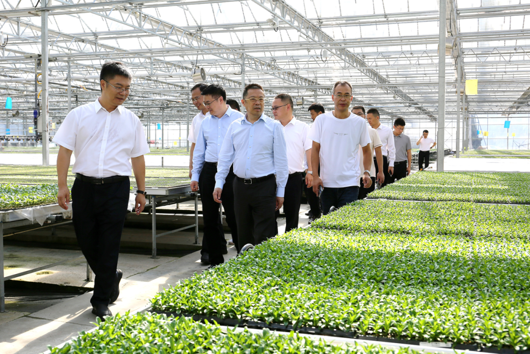 农业农村部一行来渝北调研并签署院区合作共建协议