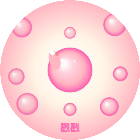 戳戳泡泡
