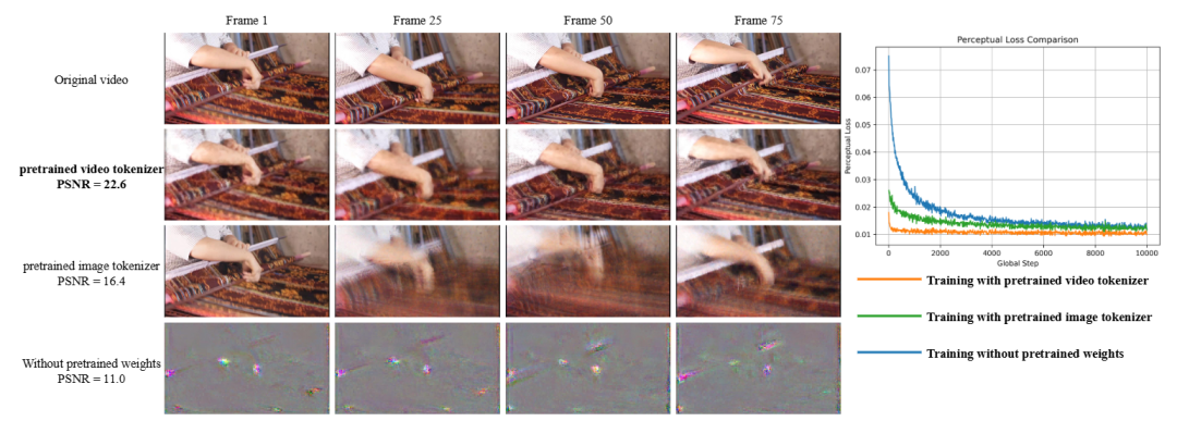 图 2：预训练权重对重建和收敛的影响。左侧子图显示了在未进行微调的情况下使用不同预训练权重重建的帧。加载连续视频标记符的权重能达到最佳效果。右侧子图显示，使用预训练视频标记器进行训练的收敛速度明显快于其他两种策略。
