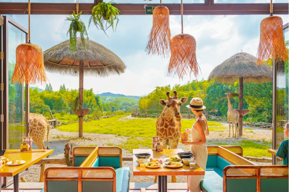 安吉港中旅clubmed度假村.jpg