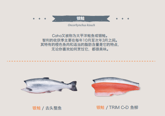定了！全球最大的银鲑生产商—智利爱鲲将参展上海渔博会(图13)