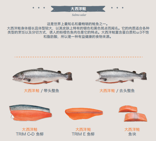 定了！全球最大的银鲑生产商—智利爱鲲将参展上海渔博会(图14)