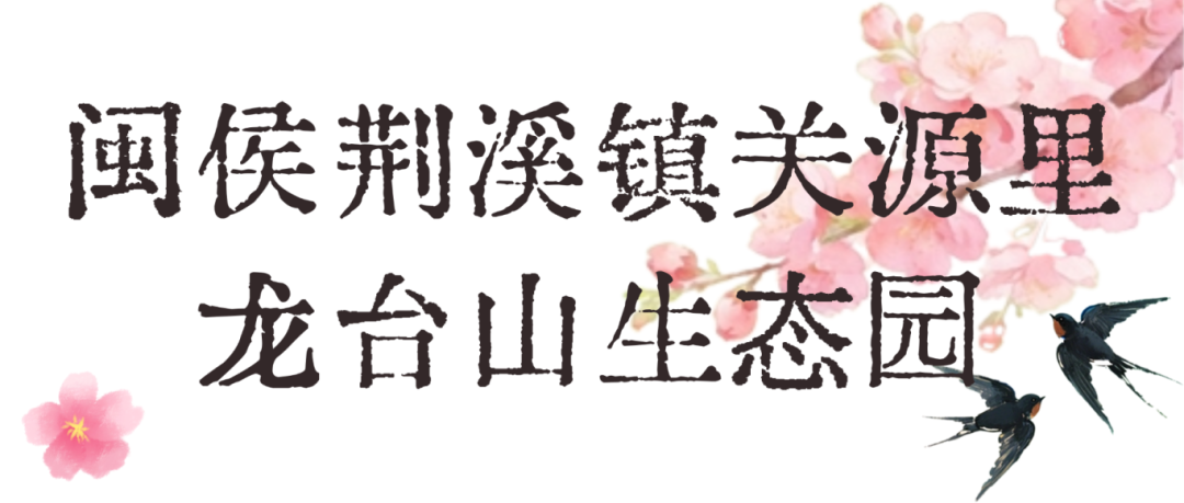 招聘节0207-模板 (3).png