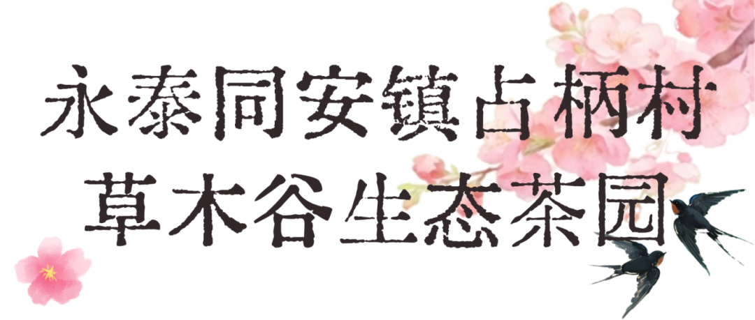 招聘节0207-模板 (3).png