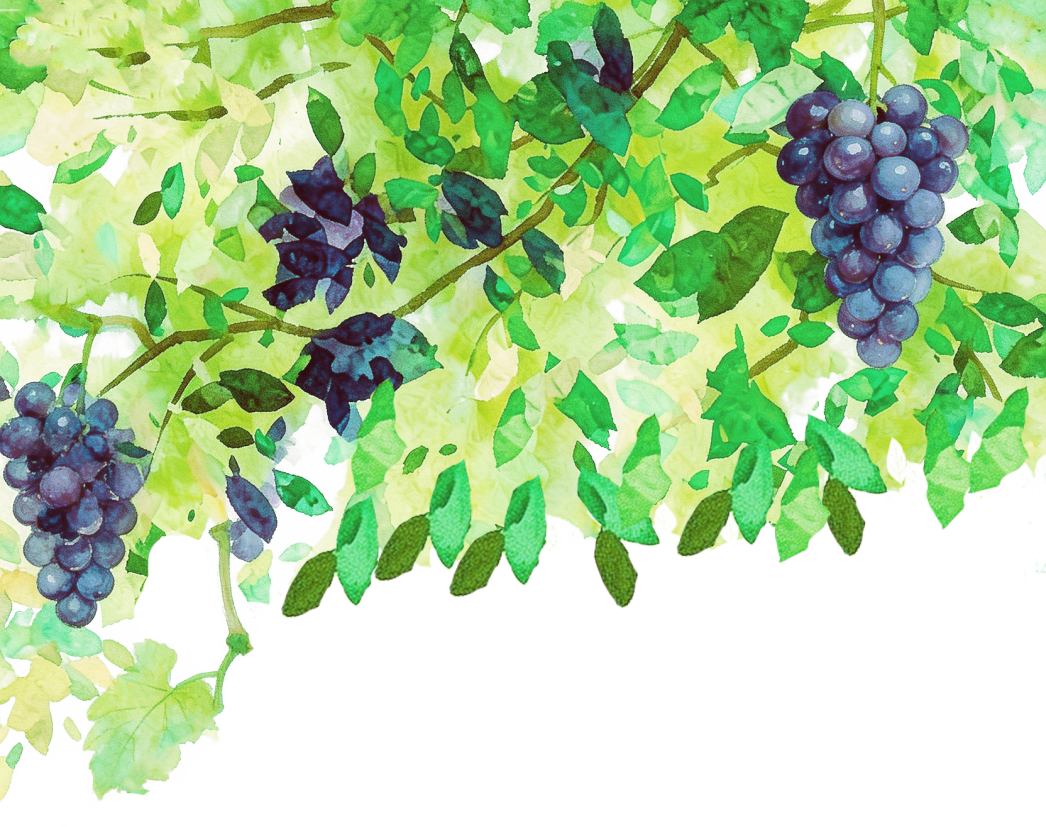 50c3708a2207a9f3b4f43b0cff9aea25.png