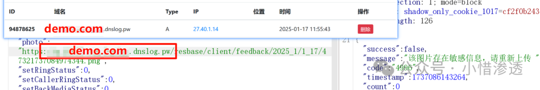 image-20250204182534335