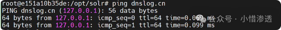 image-20240812142321325