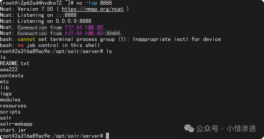 image-20240819155946400