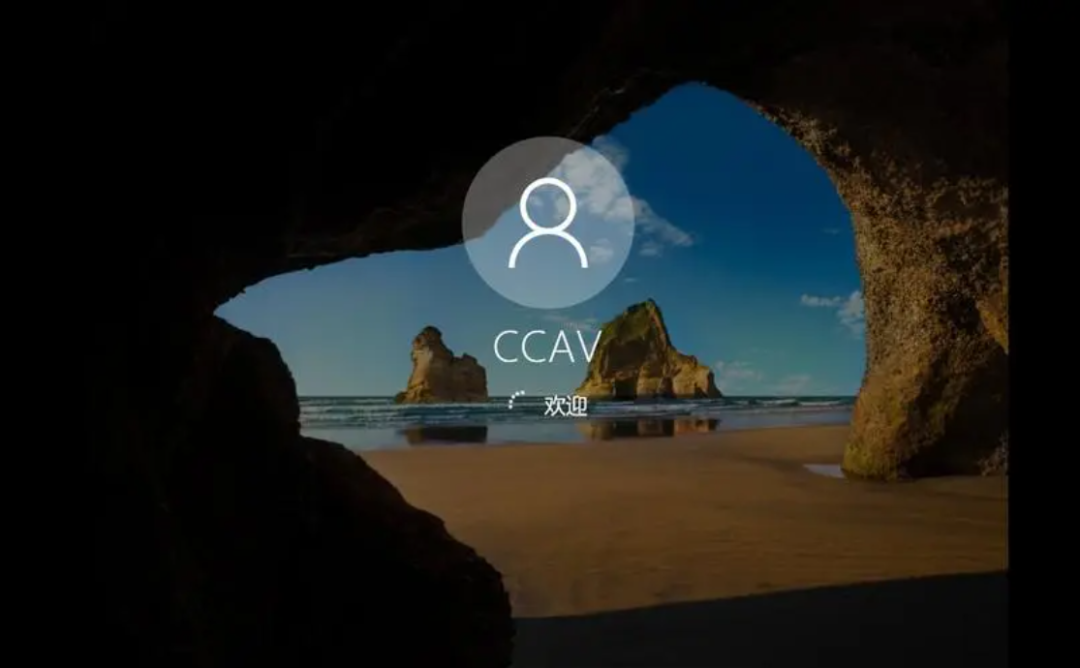 image-20231209110938531