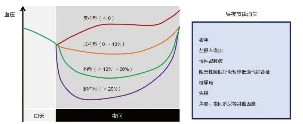 动态血压监测仪怎么看24h动态血压监测是什么？测完怎么看结果_https://www.jmylbn.com_新闻资讯_第2张